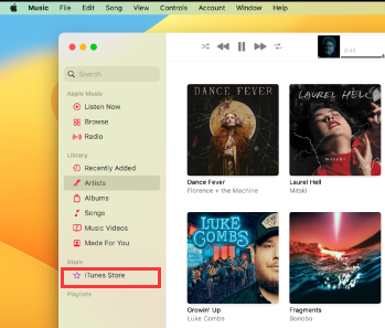 iTunes Store'unuzdaki Müziği Mac'inize Yeniden İndirmeyi Deneyin