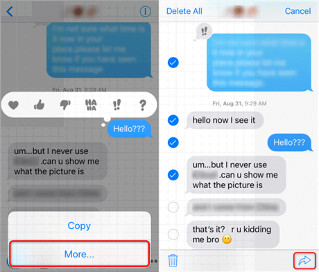 iMessage'ı Kopyalayıp E-postaya Yapıştırın