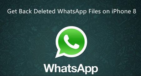 WhatsApp Resimlerini iPhone 8'den Geri Yükle