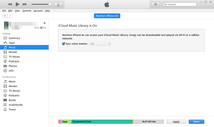 İTunes ve iTunes Sync ile Sesli Notları iPhone'dan Nasıl Alınır