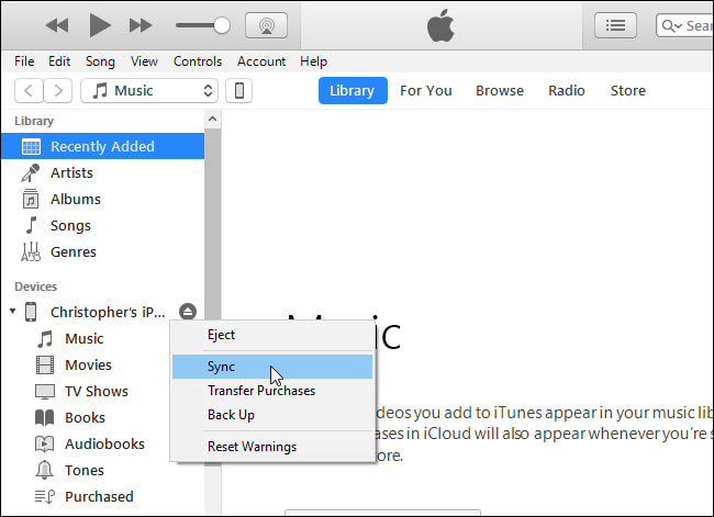 İTunes Kullanarak iPhone'dan Sesli Notlar Nasıl İndirilir