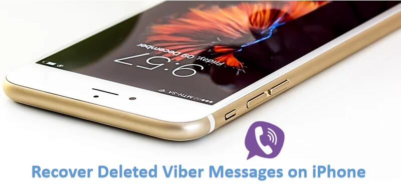 Silinen Viber Mesajlarını iPhone 7/8/X/11'de Viber Backup'tan Geri Yükleyin