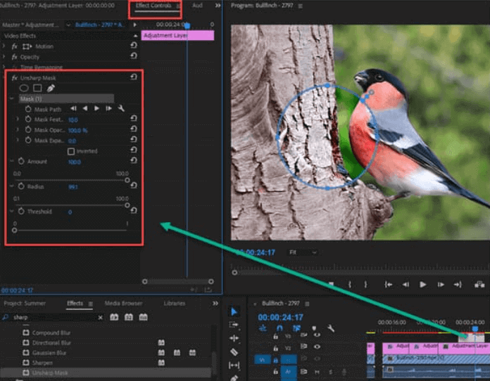 Adobe Premiere Pro Kullanarak Video Çözünürlüğünü İyileştirin