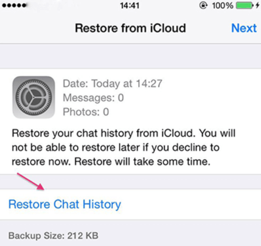 iOS'ta Silinen WhatsApp Mesajlarını Kurtar