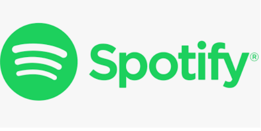 iPhone için En İyi Çevrimdışı Müzik Aktarımı: Spotify