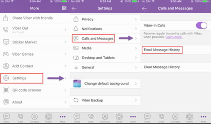 Viber Kullanarak Viber Geçmişini iPhone'dan Bilgisayara Aktarın