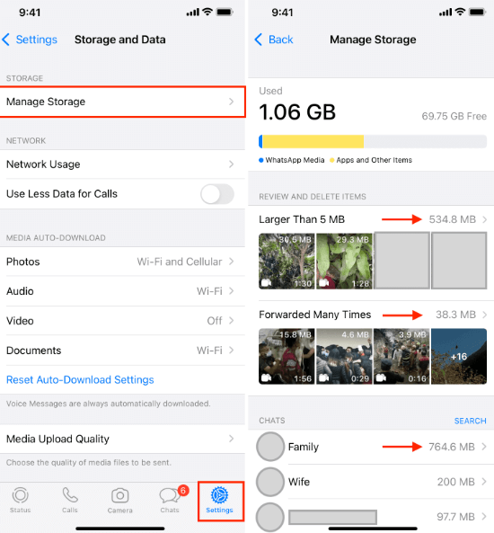 The Manager Storage aracılığıyla iPhone'daki WhatsApp Media'yı Silme