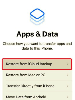 Uygulamaları iCloud Yedekleme ile iPhone'dan iPhone'a Aktarın