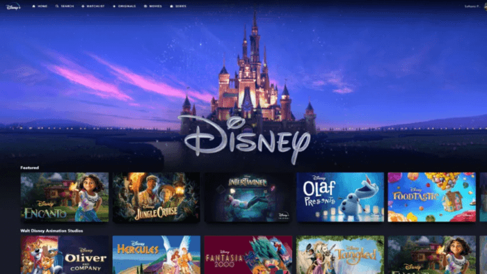 Dizüstü Bilgisayarlarda Disney Plus Filmleri