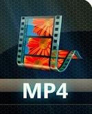 Instagram Video Dönüştürücü - Video Dönüştürücü.MP4