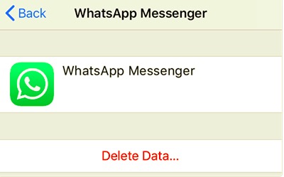 WhatsApp Yedeklemesini Silmek için WhatsApp iCloud Verilerini Silin