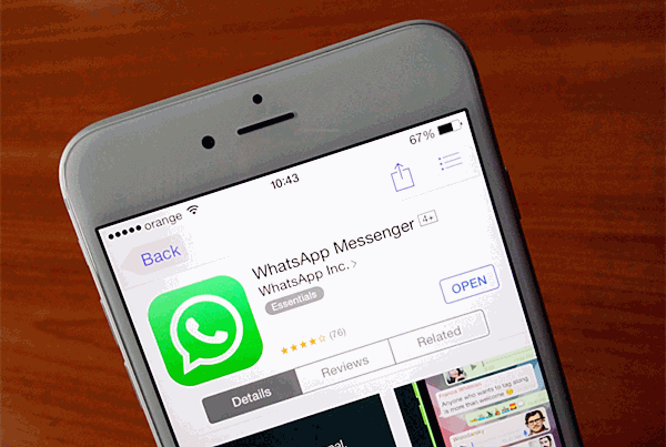 WhatsApp Bildirimlerinin Çalışmamasını Düzeltmek için WhatsApp'ı Güncelleyin