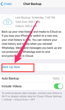 WhatsApp Mesajlarını iCloud İçinde Yedekleyin