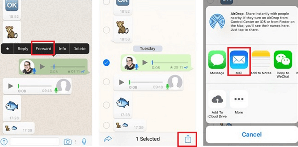 WhatsApp Sesli Mesajlarını E-posta Kullanarak iPhone'dan Kaydetme