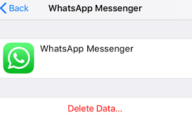 iCloud WhatsApp Yedekleme Verilerini Silme